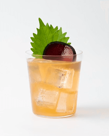 Aloft cocktail, photographed for the menu and training pack.